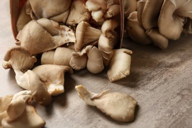 Ahşap masa üzerinde istiridye mantar