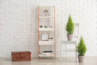Thuya ağaçlar ve raf ünitesi beyaz duvara yakın tencere