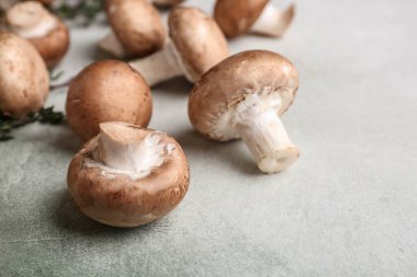 Işık tablosu üzerinde taze mantar