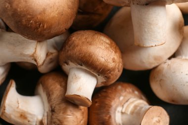 Taze çiğ mantar, portre