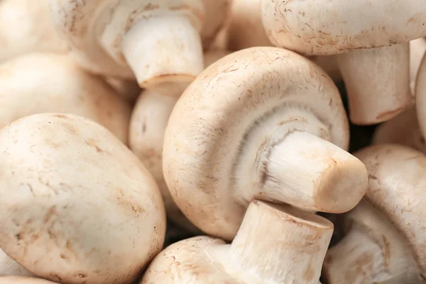 Fresh Raw Mushrooms Closeup Stock Photo