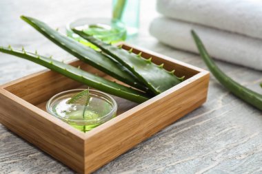 Hafif ahşap masa üzerinde aloe jeli ile kase