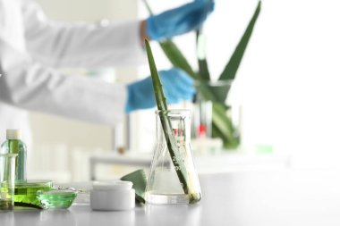 Taze aloe yaprak tablo laboratuvar şişesi