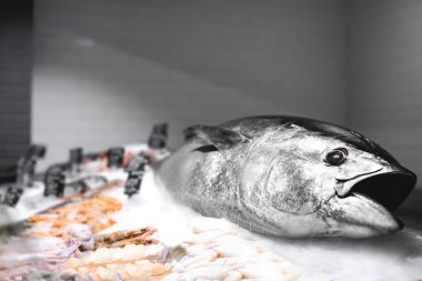 Mağaza taze deniz ürünleri ile counter