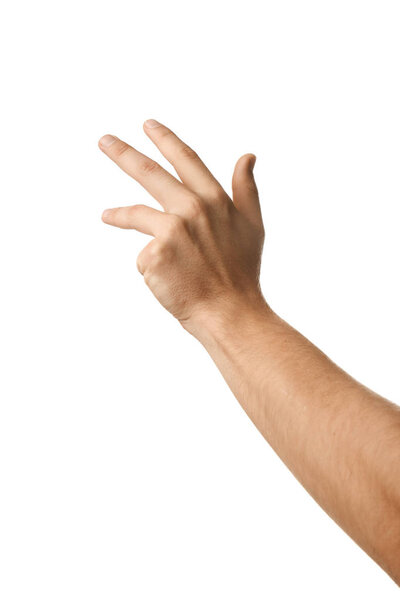 Male hand on white background