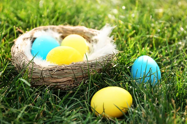 Nest Easter Eggs Green Grass Outdoors — Stock Photo, Image