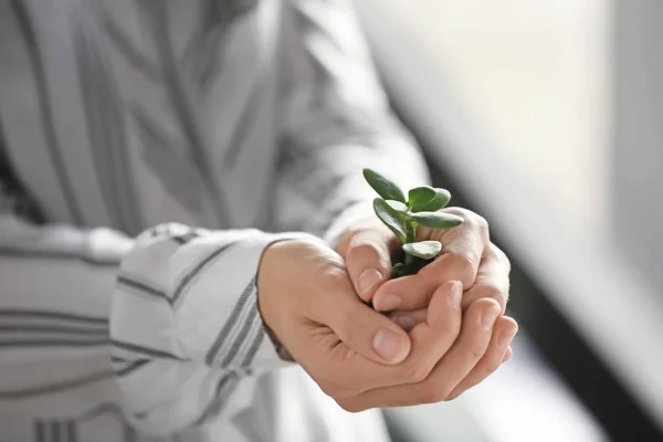 Businesswoman Holding Green Seedling Soil Closeup — Stock Photo, Image