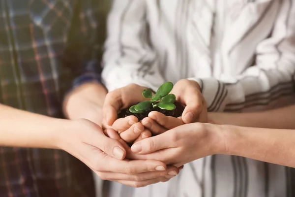 Business People Holding Green Seedling Soil Closeup — Stock Photo, Image