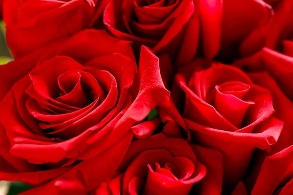 Букет Красивих Червоних Троянд Крупним Планом — стокове фото