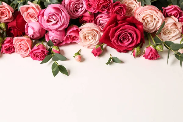 Many Beautiful Roses White Background — Stock Photo, Image