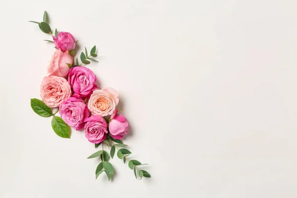 Hermosas Rosas Rosadas Sobre Fondo Blanco — Foto de Stock