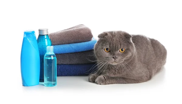 Cute Cat Towels Bottles Cosmetics Washing White Background — Stock Photo, Image
