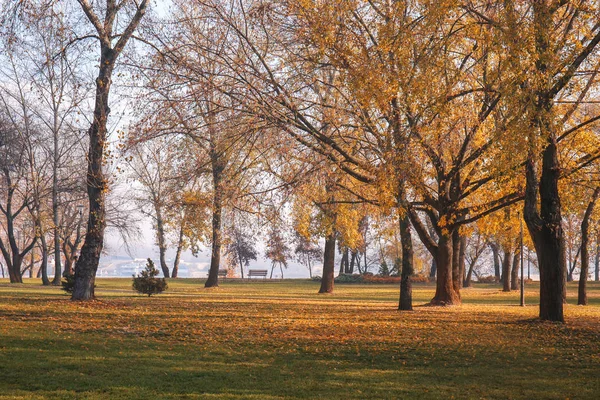 View Autumn Park — Stock Photo, Image