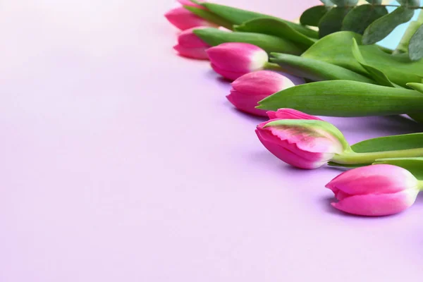 Beautiful Tulips Mother Day Color Background — Stock Photo, Image