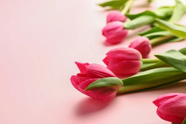 Beautiful Tulips Mother Day Color Background — Stock Photo, Image