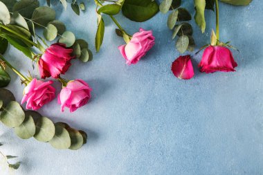 Renkli arkaplanda güzel güller