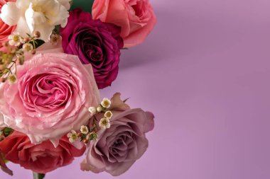 Renkli arkaplanda güzel güller