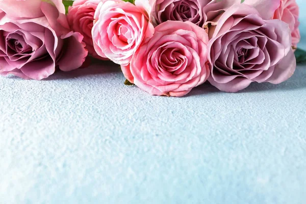 Beautiful Roses Color Background — Stock Photo, Image