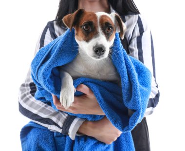Beyaz zemin üzerine yıkama sonrası köpekle kadın damat