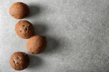 Gri arka plan üzerinde olgunlaşmış hindistancevizi