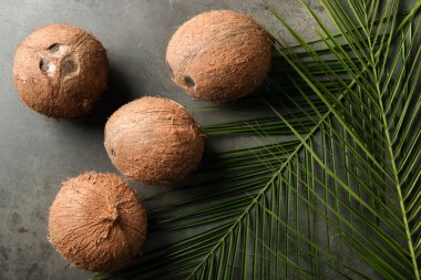 Gri arka plan üzerinde olgunlaşmış hindistancevizi