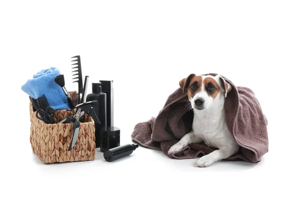 Söt Hund Med Uppsättning För Grooming Vit Bakgrund — Stockfoto