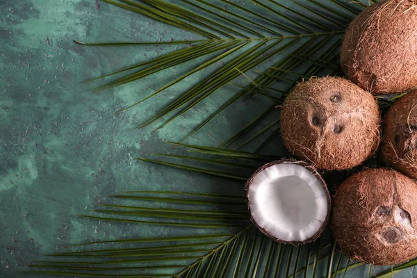 Ripe Coconuts Palm Leaves Color Background — Stock Photo, Image