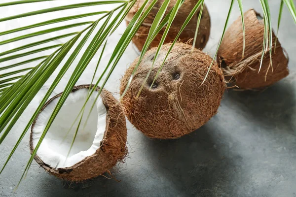 Cocos Maduros Folha Palma Sobre Fundo Cinzento — Fotografia de Stock