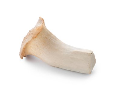 Beyaz arkaplanda çiğ mantar