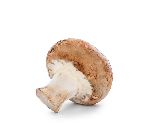 Raw Mushroom White Background — Stock Photo, Image