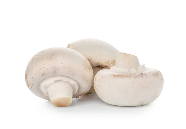 Raw Mushrooms White Background — Stock Photo, Image