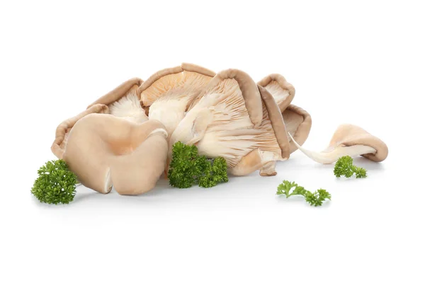 Raw Mushrooms White Background — Stock Photo, Image