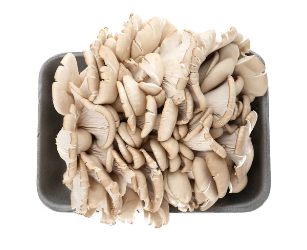 Tray Mushrooms White Background — Stock Photo, Image