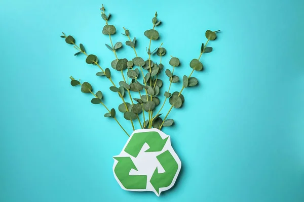 Recycling symbol and green branches on color background