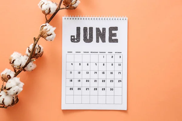 Calendar Page June Color Background — Stock Photo, Image