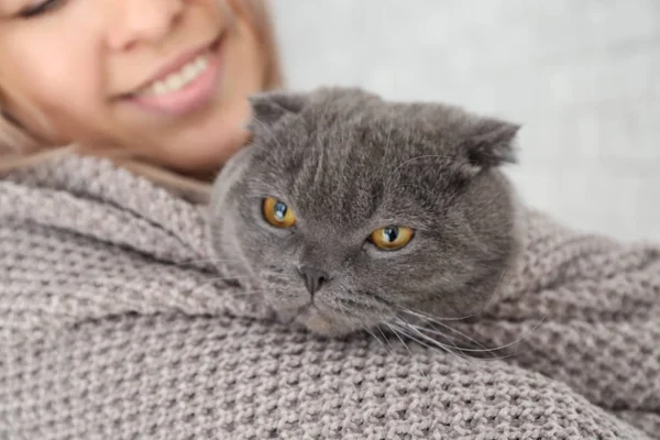 Young Woman Cute Cat Home — Stock Photo, Image