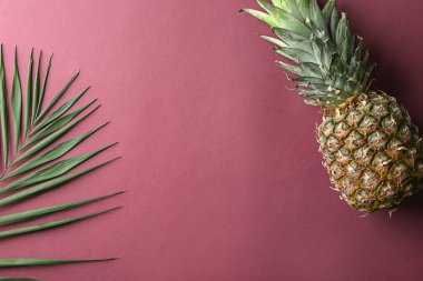 Renk arka plan üzerinde olgunlaşmış ananas ve palmiye yaprağı