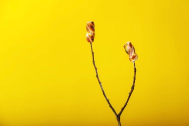 Ağaç dalı renk arka plan üzerinde lezzetli ızgara marshmallow ile