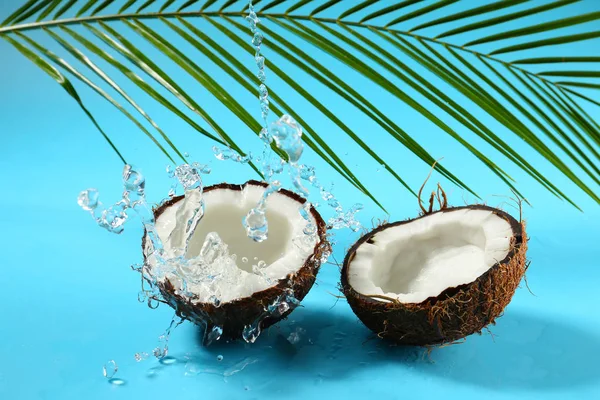 Halves Ripe Coconut Palm Leaf Splash Water Color Background — Stock Photo, Image