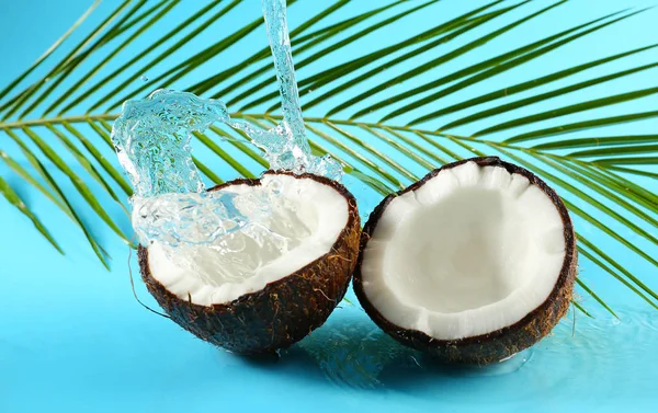 成熟的椰子 棕榈叶和飞溅的水在颜色背景的一半 — 图库照片