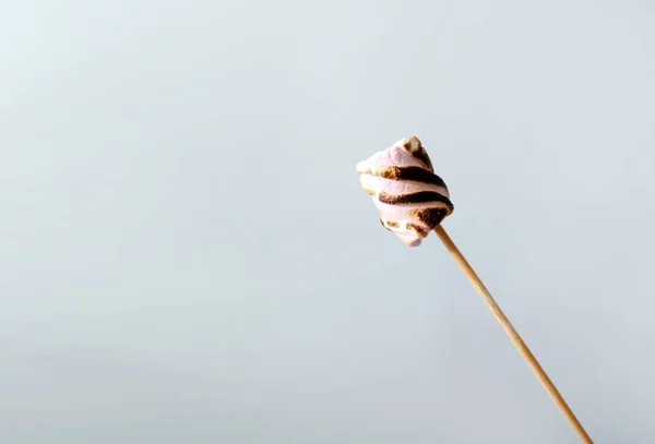 Vara Com Saboroso Marshmallow Grelhado Fundo Leve — Fotografia de Stock