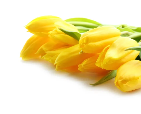 Krásné Tulipány Pro Den Matek Bílém Pozadí — Stock fotografie