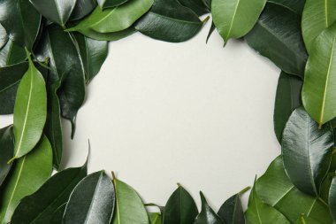 Beyaz arka plan üzerinde tropikal yaprak çerçeve yaptı