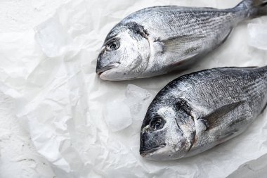 Buz taze dorado balık