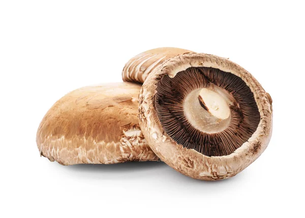 Raw Mushrooms White Background — Stock Photo, Image