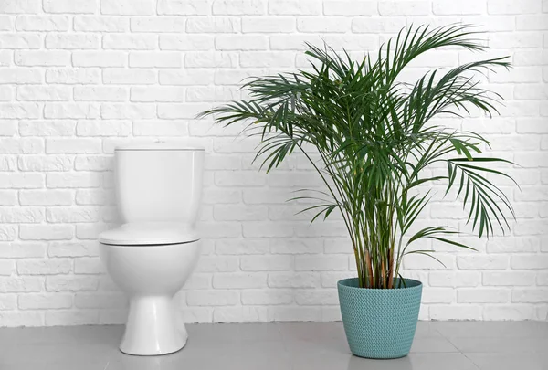 Moderne Keramik Toilettenschüssel Der Nähe Der Weißen Ziegelwand Der Toilette — Stockfoto