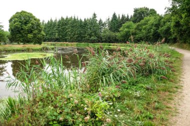 Güzel gölet Park yaz gününde