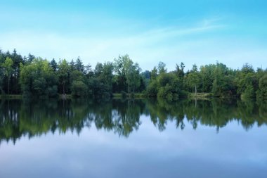 Güzel bir nehir ve orman manzarası