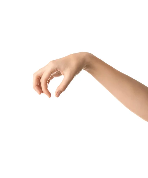 Female Hand White Background — Stock Photo, Image