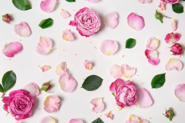 Beyaz arka planda güzel pembe güller